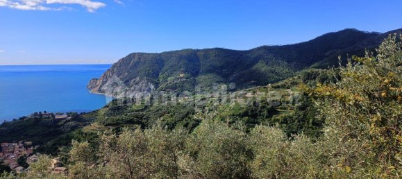 Terreno en Monterosso al Mare, Italy 3500 m² No. 296485 2