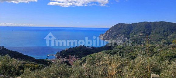 Terreno en Monterosso al Mare, Italy 3500 m² No. 296485 3