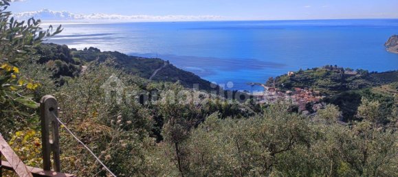 Terreno en Monterosso al Mare, Italy 3500 m² No. 296485 15