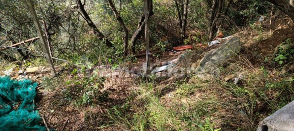 Terreno en Monterosso al Mare, Italy 3500 m² No. 296485 7