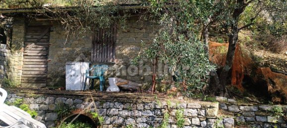 Terreno en Monterosso al Mare, Italy 3500 m² No. 296485 17