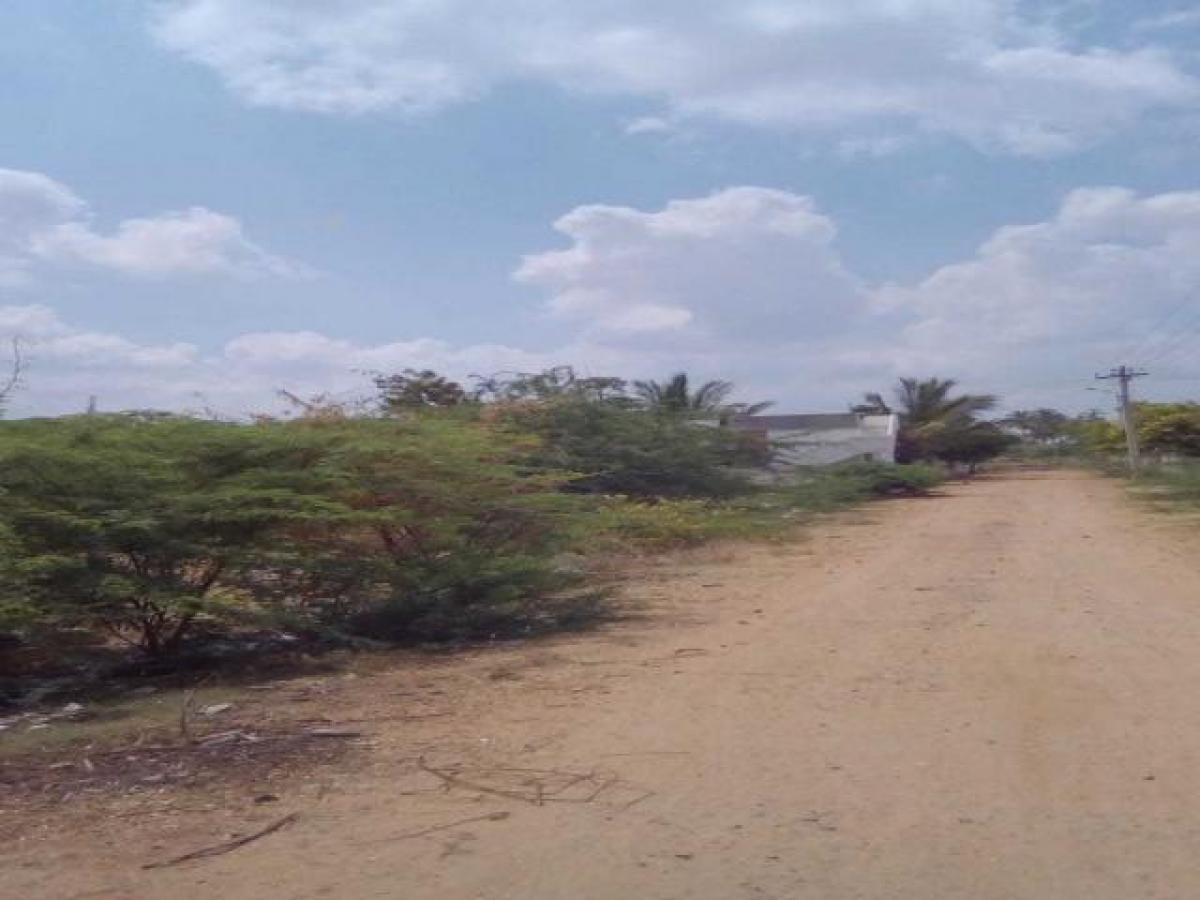  Land in Tirunelveli, India No. 29865