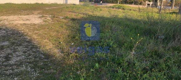 400m² Land in Santarem, Portugal No. 81385 4