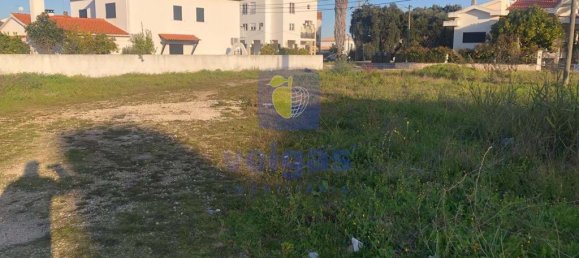 400m² Land in Santarem, Portugal No. 81385 6