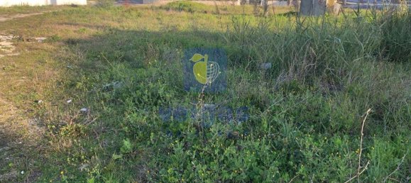 400m² Land in Santarem, Portugal No. 81385 10