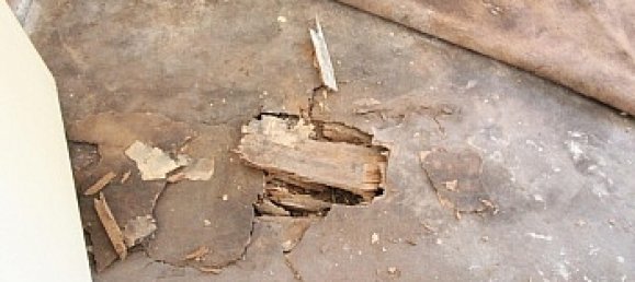 3-Zimmer Haus in Klagenfurt am Wörthersee, Austria, Nr. 132924 24