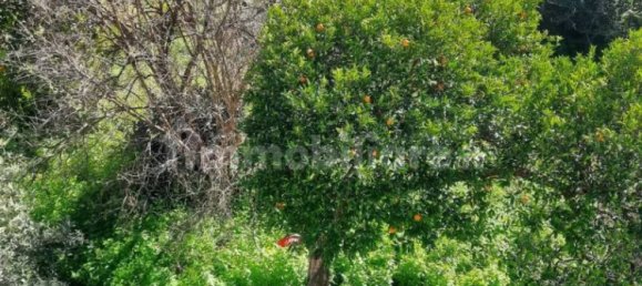 4 bedrooms Apartment in Caulonia, Italy No. 340098 3