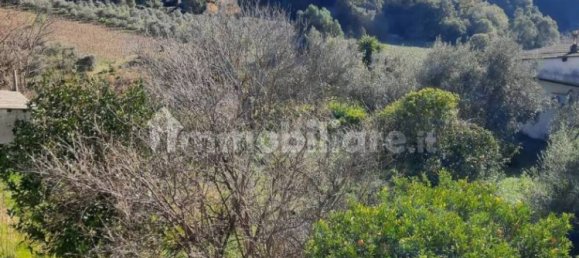 4 bedrooms Apartment in Caulonia, Italy No. 340098 2