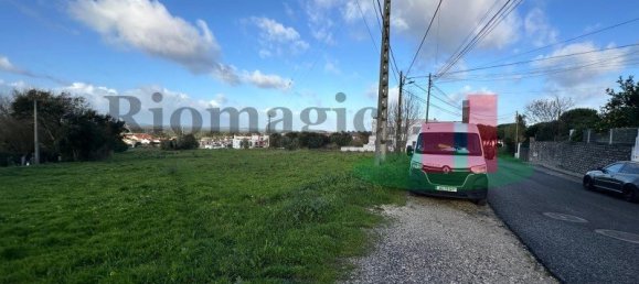 19267m² Land in Caldas da Rainha, Portugal No. 100723 3