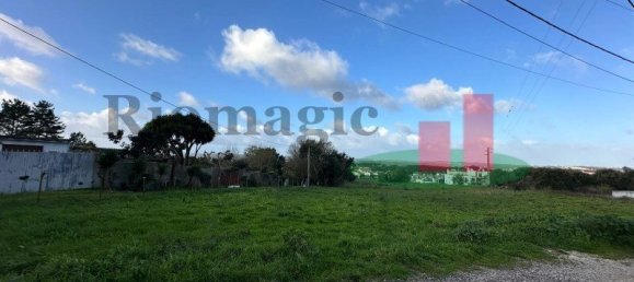 19267m² Land in Caldas da Rainha, Portugal No. 100723 9