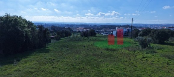 19267m² Land in Caldas da Rainha, Portugal No. 100723 31