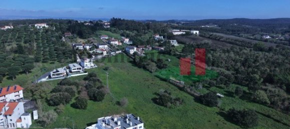 19267m² Land in Caldas da Rainha, Portugal No. 100723 26