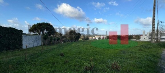 19267m² Land in Caldas da Rainha, Portugal No. 100723 5