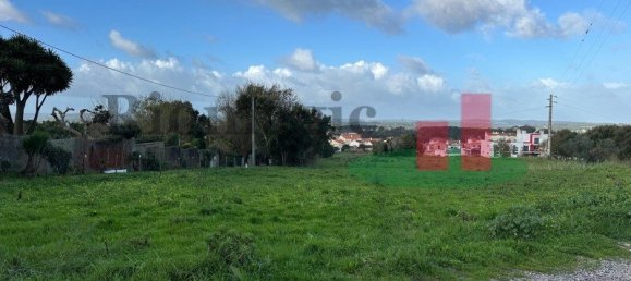 19267m² Land in Caldas da Rainha, Portugal No. 100723 10