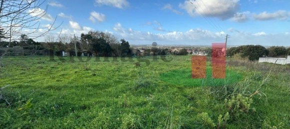 19267m² Land in Caldas da Rainha, Portugal No. 100723 12