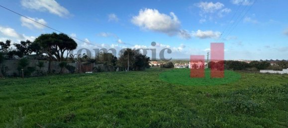 19267m² Land in Caldas da Rainha, Portugal No. 100723 4