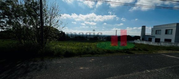 19267m² Land in Caldas da Rainha, Portugal No. 100723 16