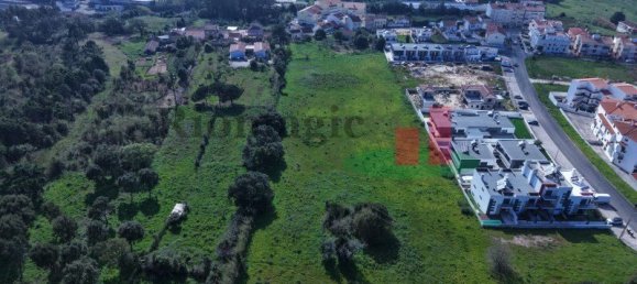 19267m² Land in Caldas da Rainha, Portugal No. 100723 30