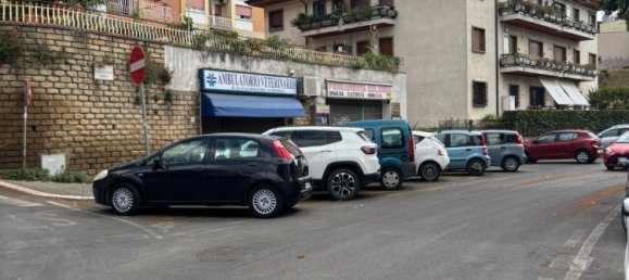 1-Zimmer Gewerbliche Immobilie in Marino, Italy, Nr. 365449 4
