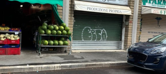 1-Zimmer Gewerbliche Immobilie in Marino, Italy, Nr. 365449 7