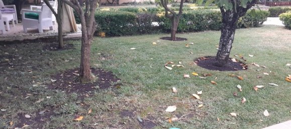 3 Schlafzimmer Haus in Sintra, Portugal, Nr. 146879 43