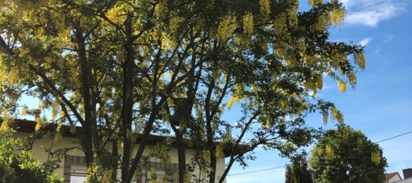 3 rooms Bungalow in Leipzig, Germany No. 296380 13