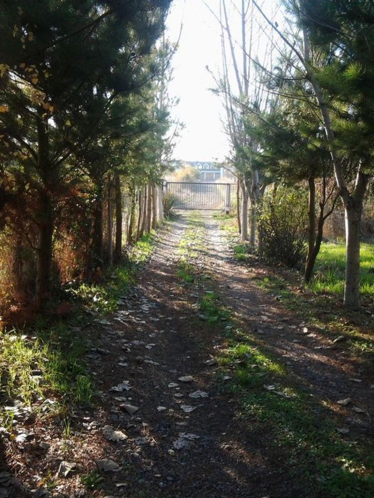 5 bedrooms Land in Biobio, Chile No. 1069