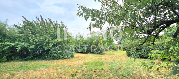 Land in Nickelsdorf, Austria No. 118382 6