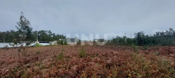 Terreno en Ovar, Portugal No. 86232 10