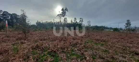 Terreno en Ovar, Portugal No. 86232 11