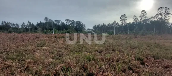 Terreno en Ovar, Portugal No. 86232 9