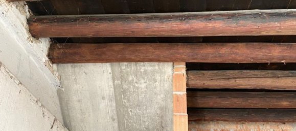 3 غرف نوم منزل في Piove di Sacco, Italy رقم 337104 22