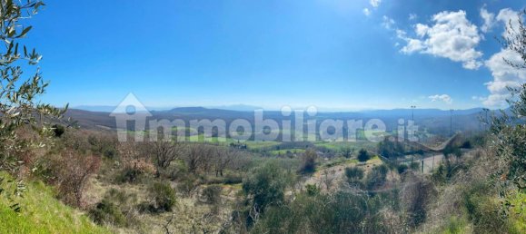 13 bedrooms House in Montecchio, Italy No. 189065 21