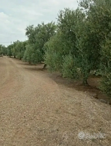 Terrain à Andria, Italy 2500m² No. 273561