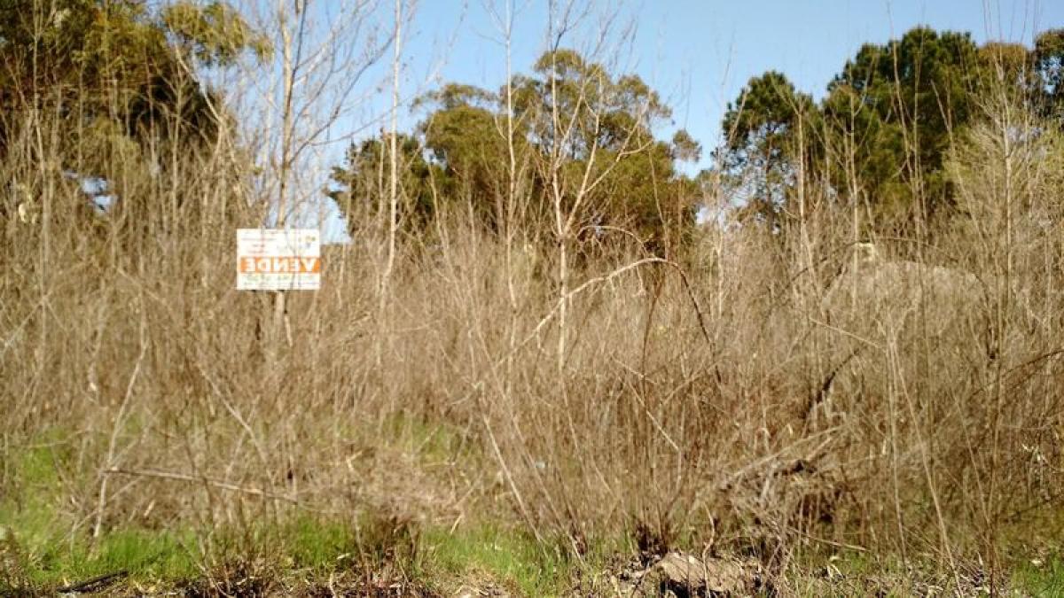  Land in Mar del Plata, Argentina No. 115900