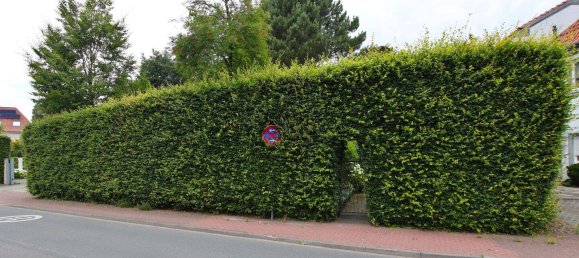 5 chambres Maison à Steinfurt, Germany No. 228145 5