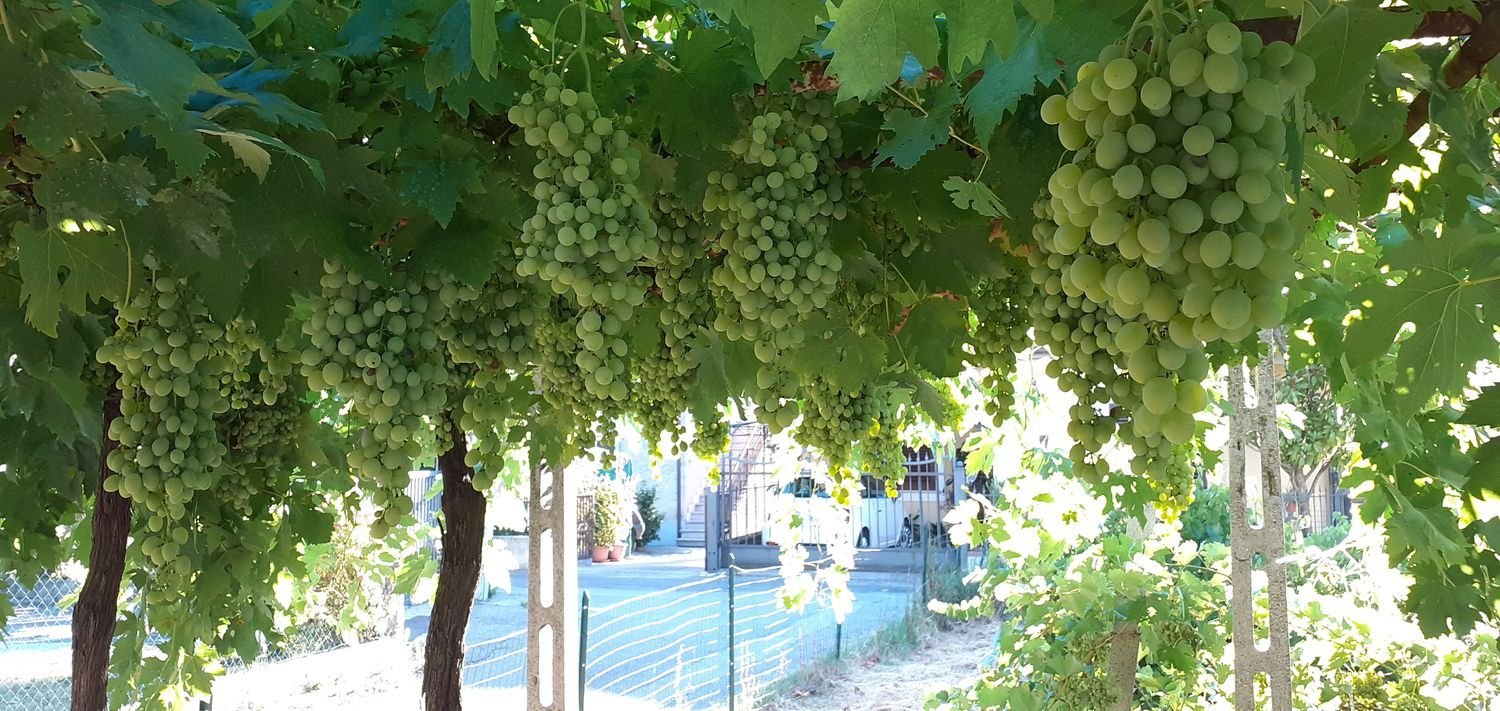 5 rooms House in Narni, Italy No. 256146