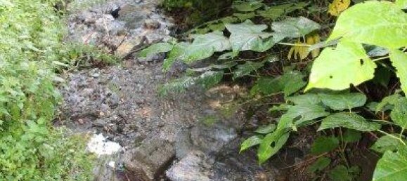  قطعة أرض في Pilgersdorf, Austria رقم 103961 4