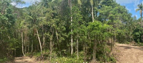  Commercial property in Wiang Sa, Thailand No. 13986 10