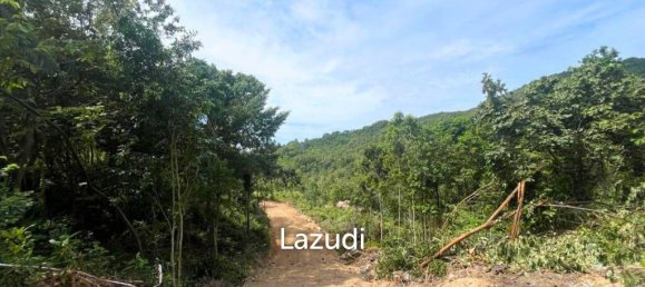  Commercial property in Wiang Sa, Thailand No. 13986 2