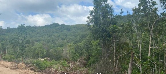  Commercial property in Wiang Sa, Thailand No. 13986 3