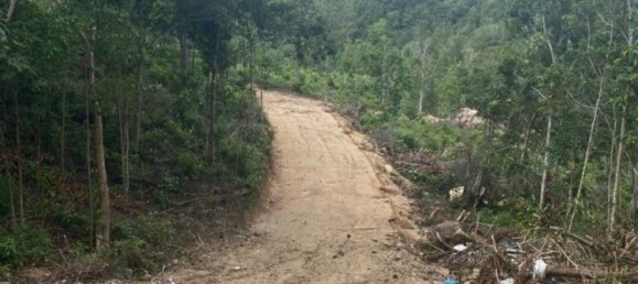  Commercial property in Wiang Sa, Thailand No. 13986 4