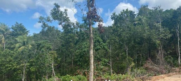  Commercial property in Wiang Sa, Thailand No. 13986 7