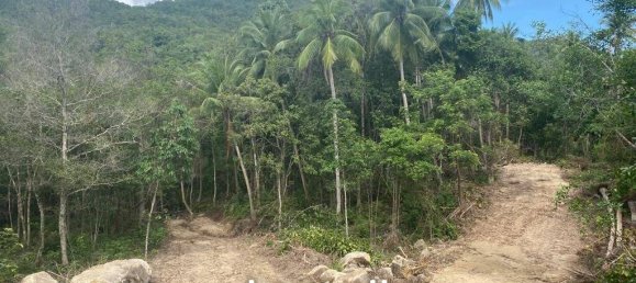  Commercial property in Wiang Sa, Thailand No. 13986 8