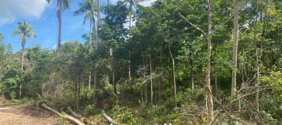  Commercial property in Wiang Sa, Thailand No. 13986 9