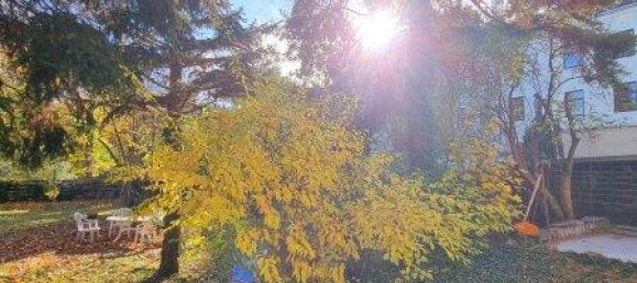 Studio à Vienna, Austria No. 196023 15