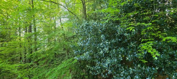 Villa de 4 dormitorios en Stresa, Italy No. 367349 36