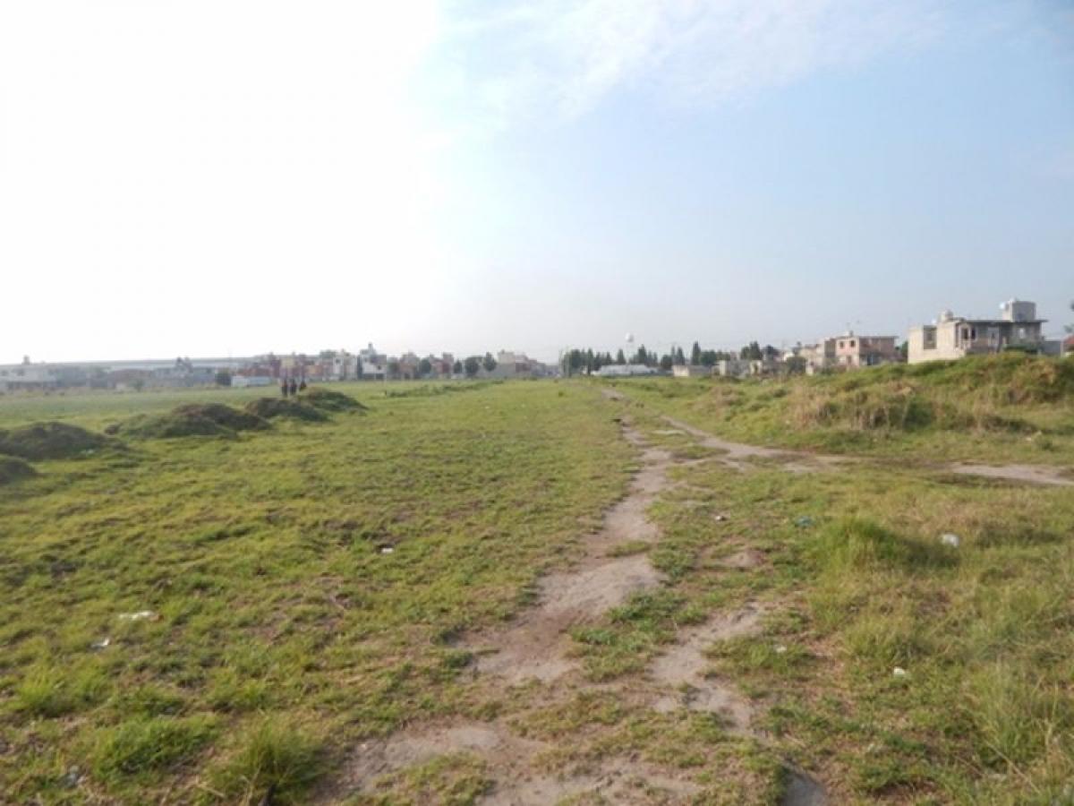 Grundstück in San Buenaventura, Mexico, Nr. 205482