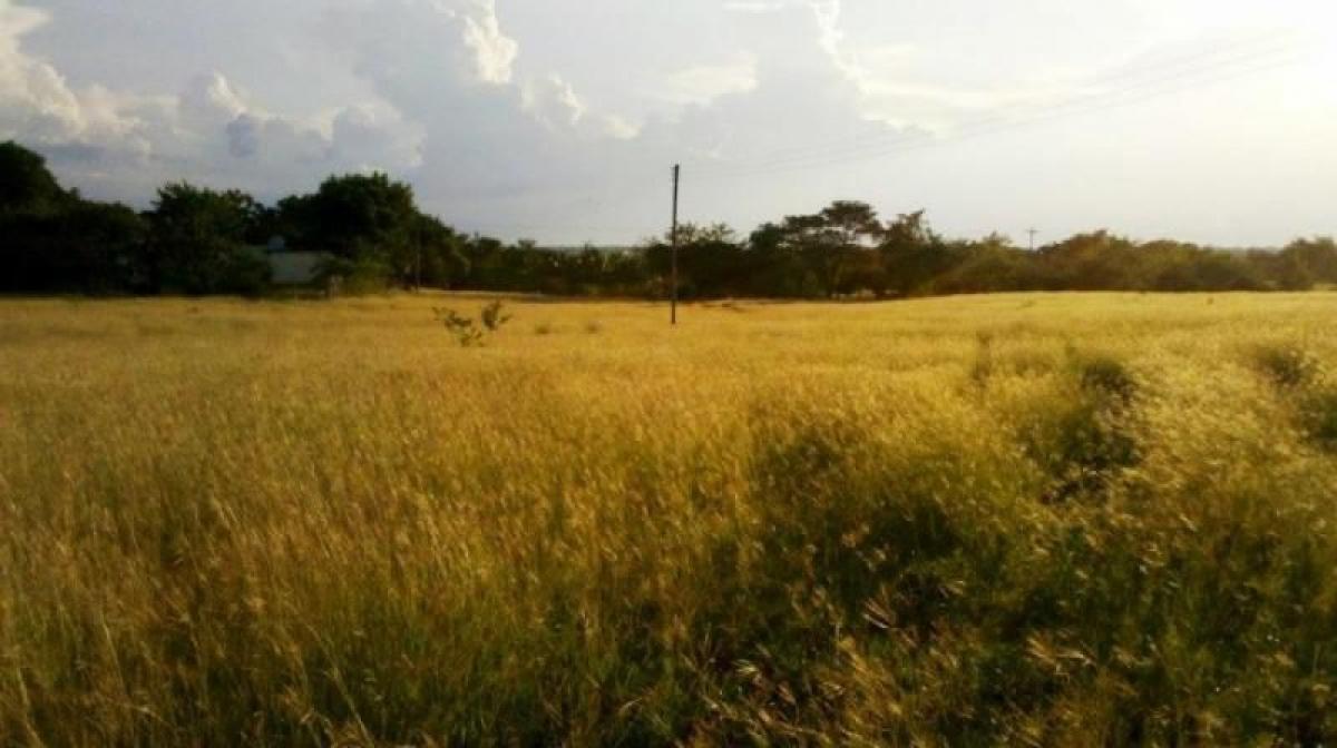 2 غرف نوم منزل في Tolima, Colombia رقم 4460