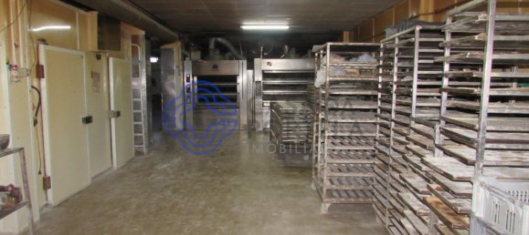 Коммерческая недвижимость 516м² в Канелаш, Португалия № 47813 13